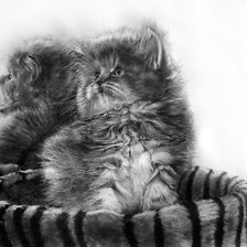 Схема вышивки «персик у зеркала»