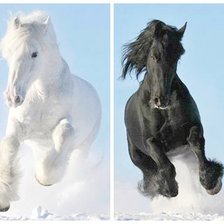 Схема вышивки «Белое и черное»