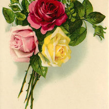 Схема вышивки «розы»