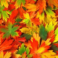 Схема вышивки «Осень»