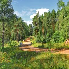 Схема вышивки «лесная тропинка»