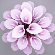 Схема вышивки «Calas»