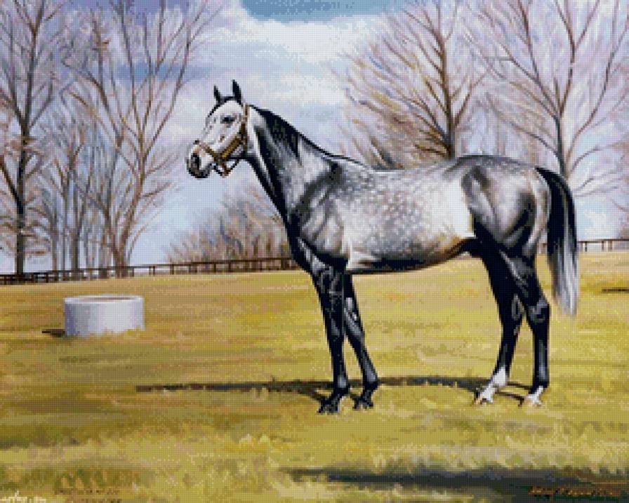 лошадь в яблоках - арт, природа, рысак, фентези, лошадь, конь, яблоки - предпросмотр