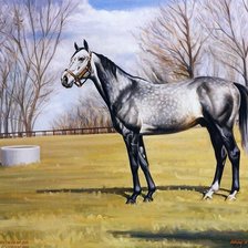 Схема вышивки «лошадь в яблоках»