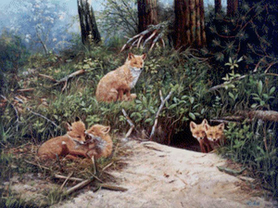 лисы - предпросмотр