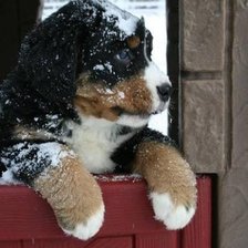 Схема вышивки «№907698»