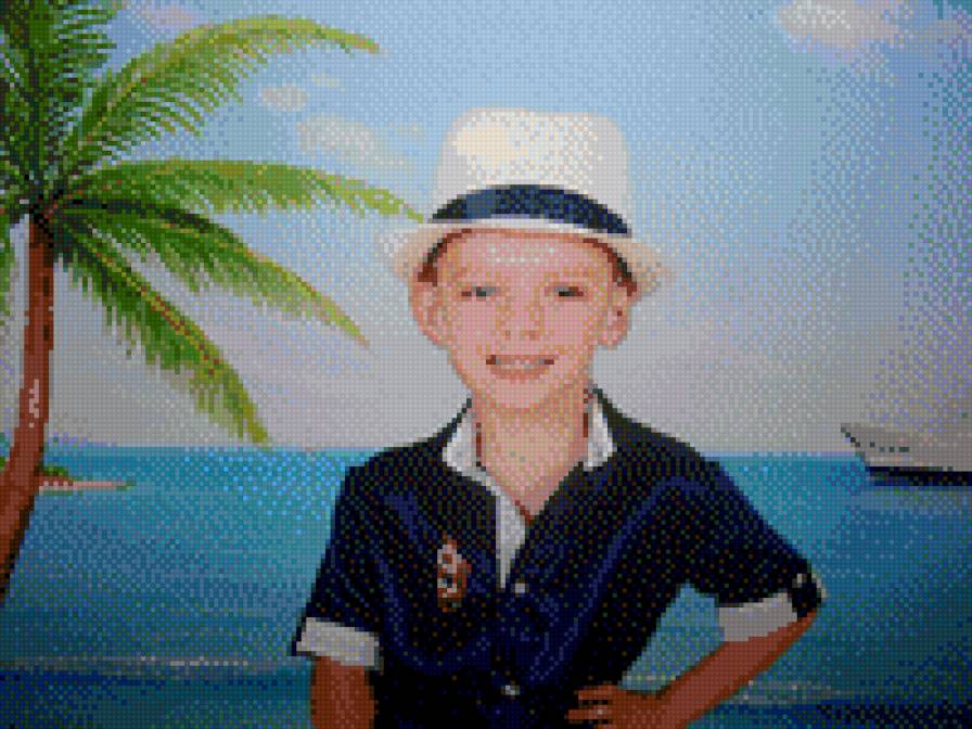 дмс - предпросмотр