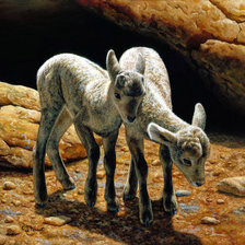 Схема вышивки «№907961»