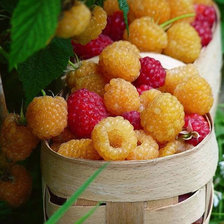 Схема вышивки «№907972»