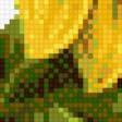 Предпросмотр схемы вышивки «Подсолнух 2» (№908010)