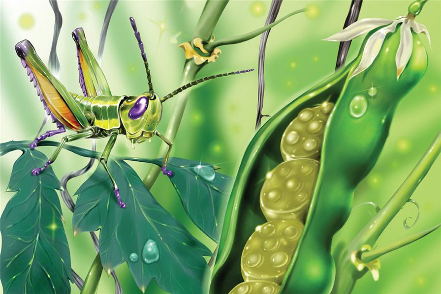 сказочные леденцы - оригинал