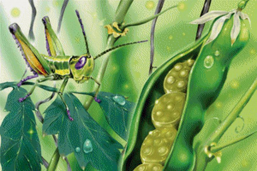 сказочные леденцы - предпросмотр