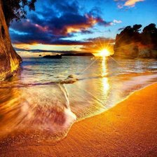 Схема вышивки «нов зел»