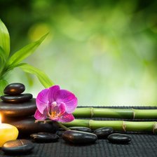 Схема вышивки «орхидея»