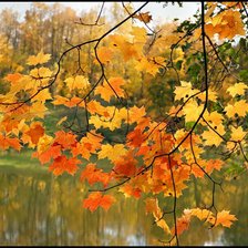 Схема вышивки «осень»