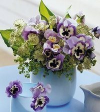 Схема вышивки «фиалки»