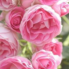 Схема вышивки «000908»