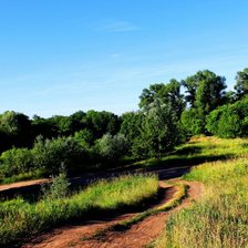 Схема вышивки «Лесная тропинка»