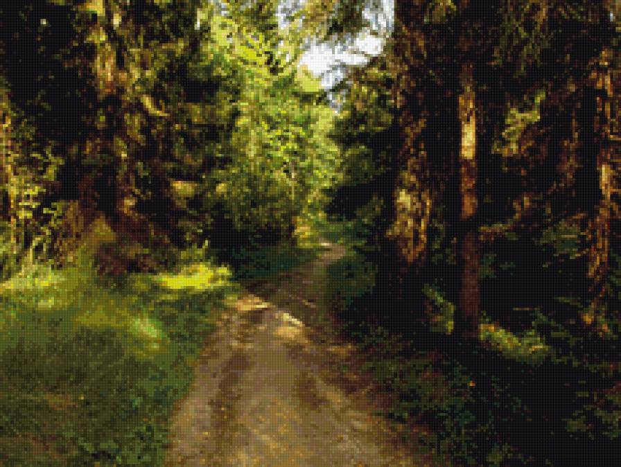 Лесная тропинка - лес, тропинка, природа, пейзаж - предпросмотр