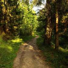 Схема вышивки «Лесная тропинка»