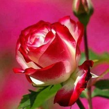 Схема вышивки «№909358»