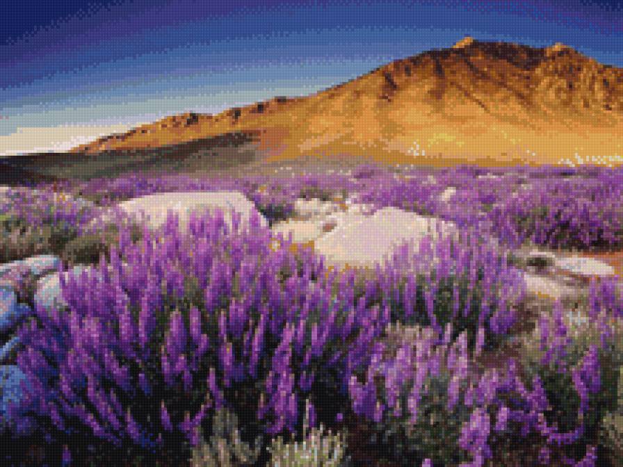 Горный пейзаж - цветы, пейзаж, луг, горы - предпросмотр