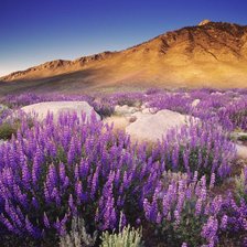 Схема вышивки «Горный пейзаж»