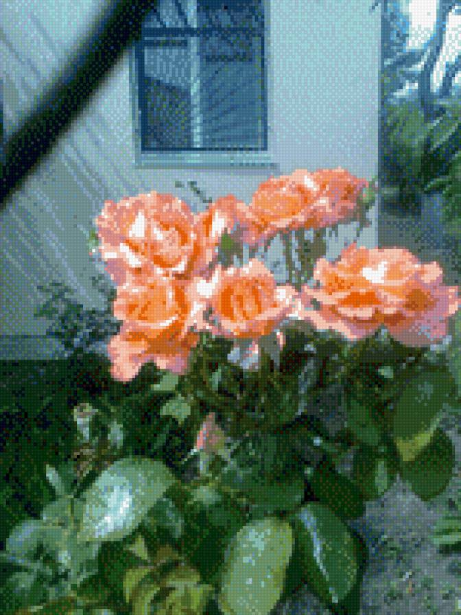 На даче - предпросмотр