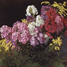 Схема вышивки «Флоксы»