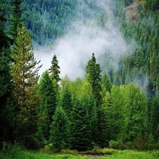 Схема вышивки «№909772»