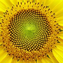 Схема вышивки «№910149»