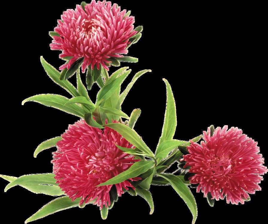 Астры - уголок, цветы, скатерть, узор - оригинал