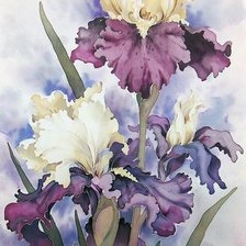 Схема вышивки «Цветы ирисы1284»