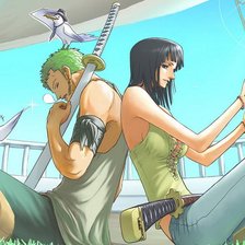 Схема вышивки «015 Робин и Зоро»