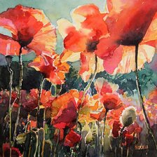 Схема вышивки «017 Цветы (Мак)»