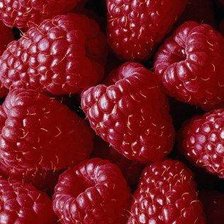 Схема вышивки «малина»