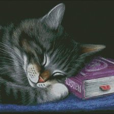 Схема вышивки «сладкий сон»