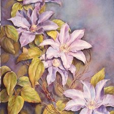 Схема вышивки «клематисы»