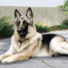 Схема вышивки «овчарка»