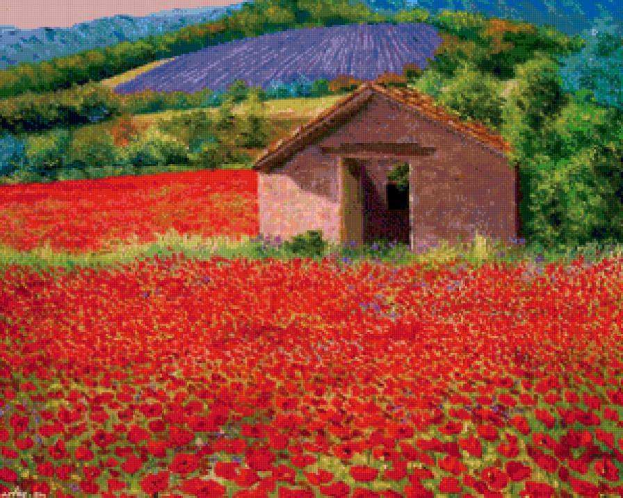 поля на юге франции - цветы, пейзаж, маки, поле, лето, дом, живопись, лаванда - предпросмотр