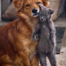 Схема вышивки «сироты»