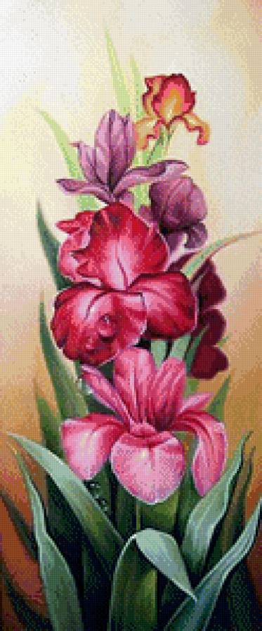 №911223 - предпросмотр