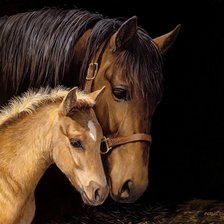 Схема вышивки «мать и дитя»