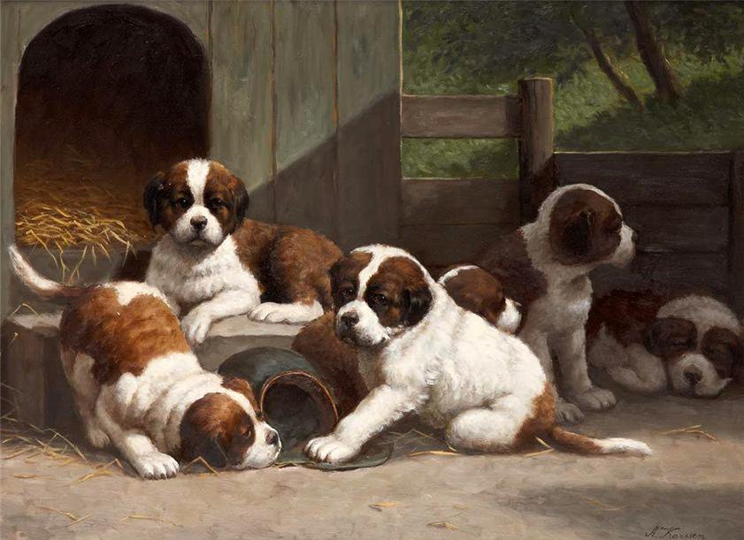 «собаки» - оригинал