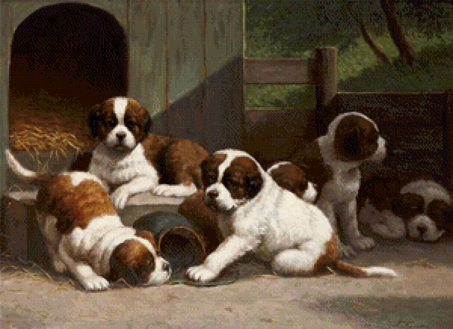 «собаки» - предпросмотр