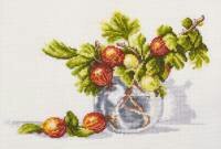 крыжовник в банке