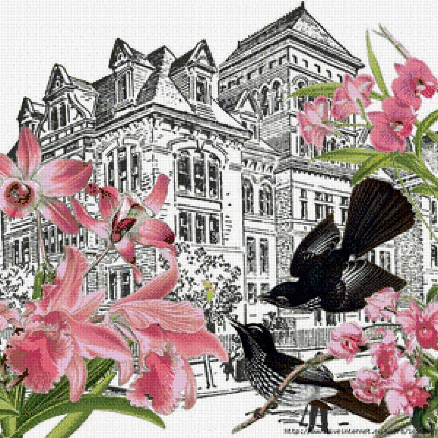 №911670 - предпросмотр