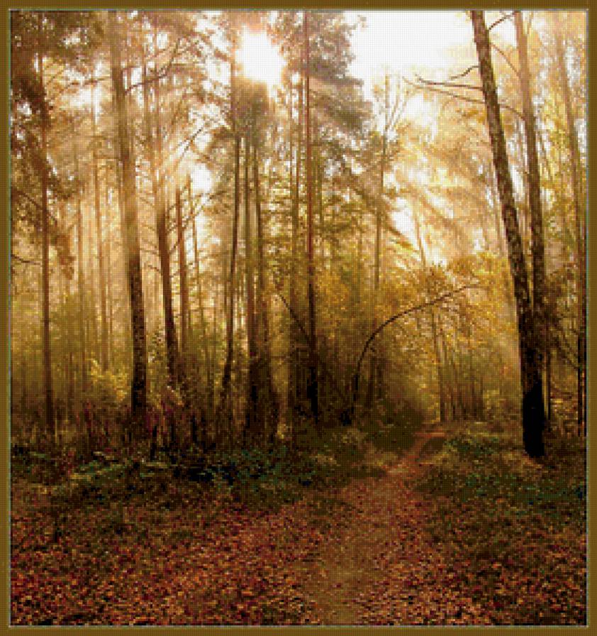 лес - предпросмотр