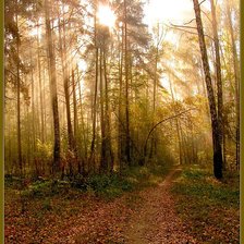 Схема вышивки «лес»