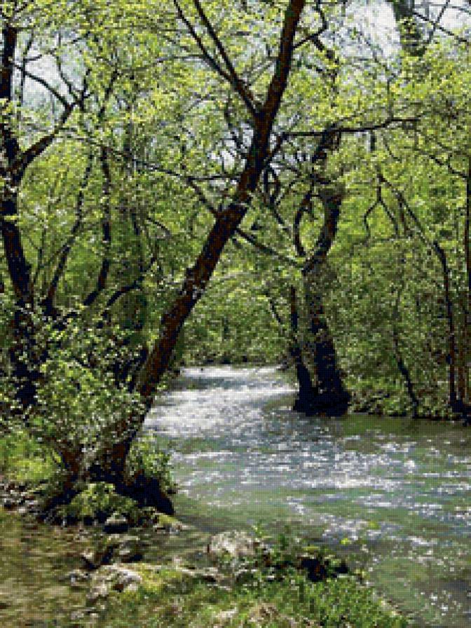 река в лесу - предпросмотр